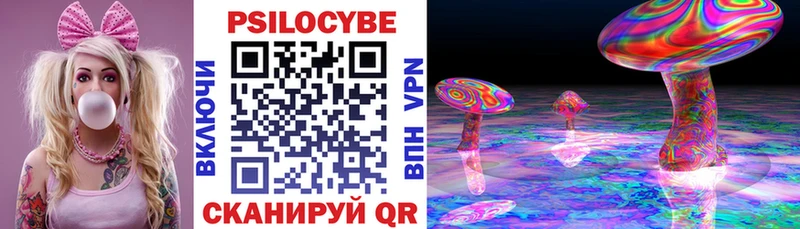 Псилоцибиновые грибы Psilocybe  Цоци-Юрт 